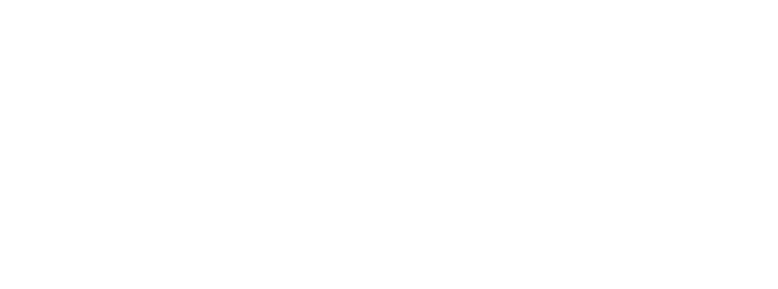 Plus UAE Group Logo